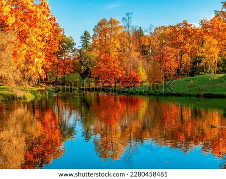 Alexander park in autumn, Pushkin, St. Petersburg, Russia Royalty-Free Stock Photo #2280458485