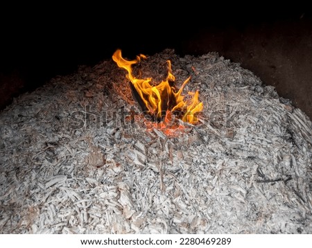 The small piece of wood burns in the hearth.
