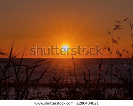 Orange sunset over the sea with sunlights through the grasses in the foreground
