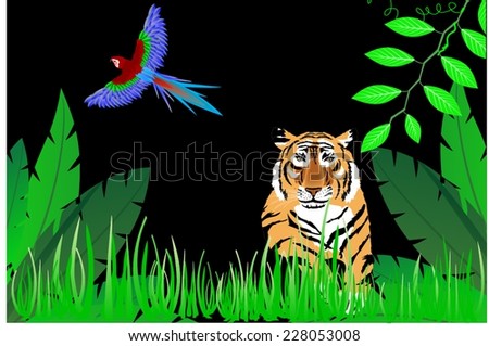 Tiger in night jungle and parrot