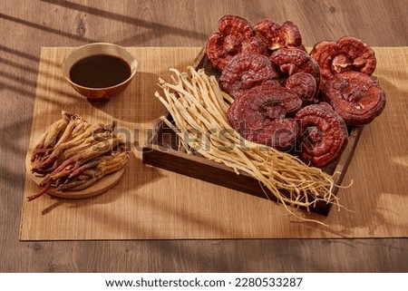 Dangshen and lingzhi mushroom placed on a square wooden tray with a dish of Red ginseng and a bowl of medicine. For medicine advertising, photography traditional medicine content