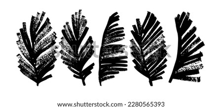 Exotic palm leaves in grunge style collection. Brush drawn tropical palm leaves isolated on white background. Handdrawn vector ink illustration with dry brush texture. Botanical tropical foliage. Royalty-Free Stock Photo #2280565393