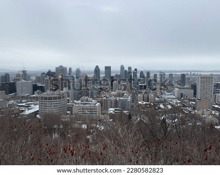 Picture of the skyline of Montreal