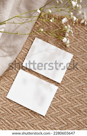 Aesthetic boho minimalist business branding template, blank paper cards on a warm beige natural background, flat lay, copy space
