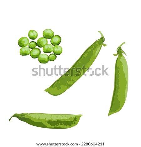 Set of Green pea isolated on white background, vector illustration. Royalty-Free Stock Photo #2280604211