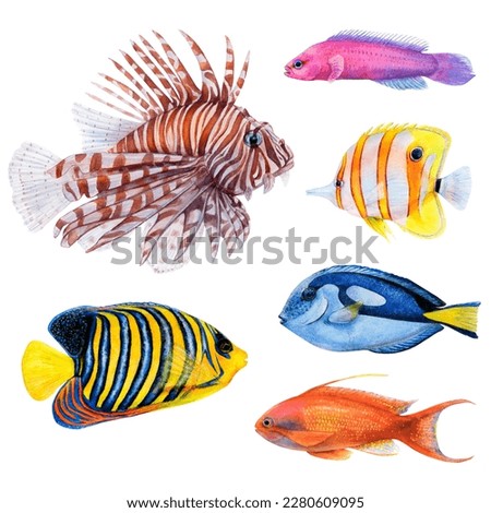 Watercolor drawing set of colorful fish: royal angel, lionfish, antias, butterfly fish, surgeon fish and friedman fish on white background. Underwater picture for illustration, stickers, logo, poster.