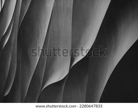 Grey curve texture wall art Abstract background