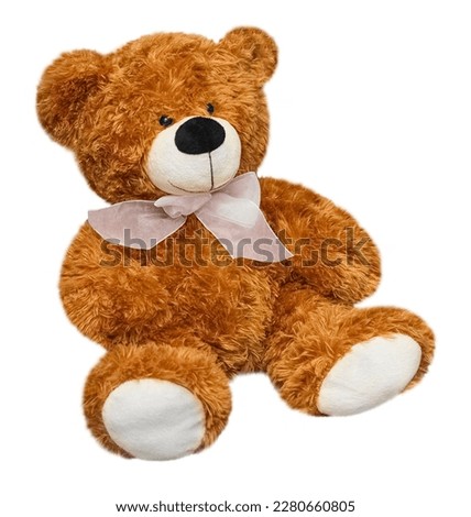 Cute brown teddy bear with a white bow, on a transparent background. isolated object. Element for design