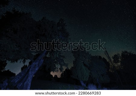 Night Long Exposure photography with stars in background and foreground with leaning tree without leaves