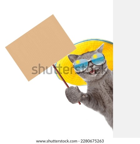 Happy cat wearing mirrored sunglasses and summer hat looks from behind empty board and shows empty placard. isolated on white background