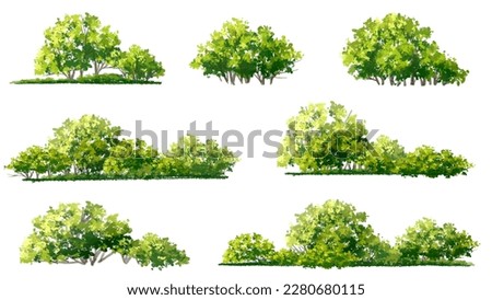 Vector watercolor of tree side view isolated on white background for landscape  and architecture drawing, elements for environment and garden, painting botanical for section and elevation  Royalty-Free Stock Photo #2280680115