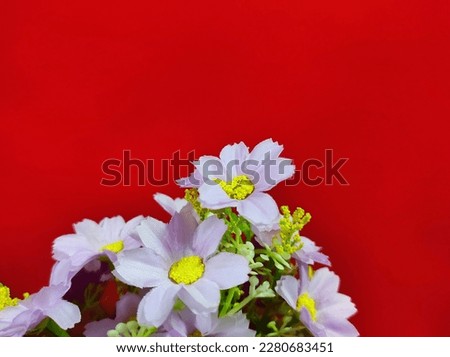 Colorful plastic daisy leaves isolated on red background.