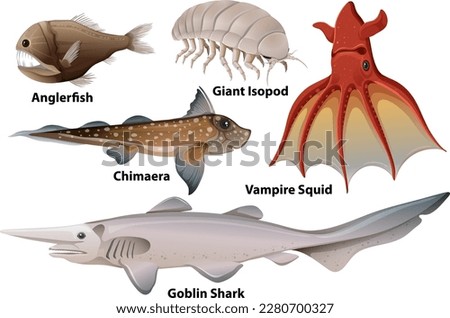 Deep Sea Creatures Collection illustration