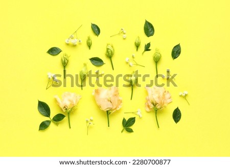 Composition with beautiful eustoma, gypsophila flowers and plant leaves on yellow background