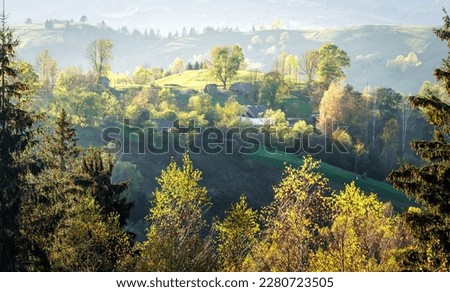 Stunning misty morning in the mountains during sunset. Amazing nature scenery. Stunning alpine Landscape. Wonderful counfryside with fog under sunlight. picture of wild area. Natural background.
