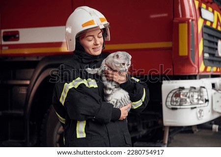 Cat with grey wool is in the hands of employee. Woman firefighter in uniform is at work in department.