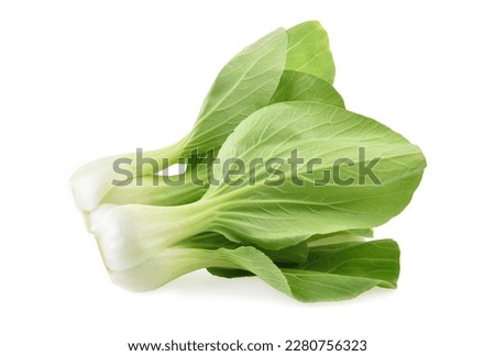 Bok choy vegetable on white background Royalty-Free Stock Photo #2280756323