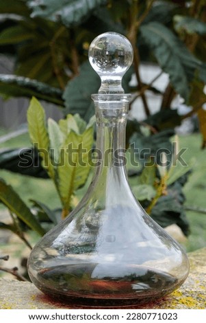 The carafe of red wine. Mespilus tree background.