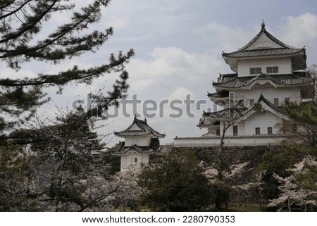 Iga Castle and cherry blossoms in Mie Prefecture, Japan