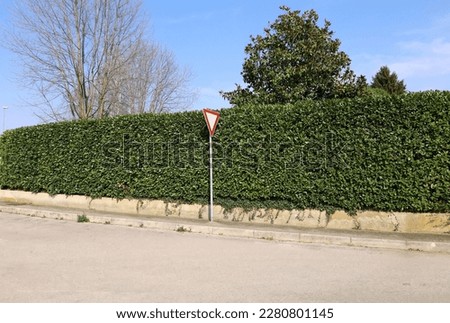 Give way road sign on concrete sidewalk. Low cement fence with high hedge and sky on behind, street in front. Background for copy space.