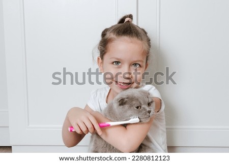 The small funny girl brushing cat's teeth with toothbrush. Pet's health concept. Oral higiene,stomatology