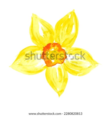 Yellow abstract narcissus. Hand drawn watercolor isolated on white background. Can be used for cards, patterns, label