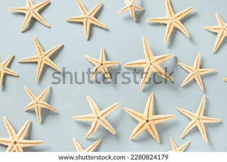 Pattern with starfishes and seashells on blue background. Top view. Concept summer beach vacation.