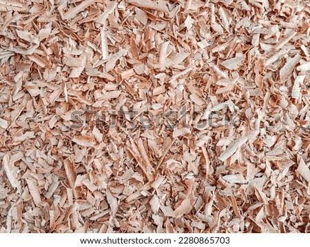 Sawdust texture background. Wood dust texture. Sawdust or wood dust texture background. Wood sawdust background. Top view.