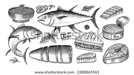 Tuna seafood. Fishes sketch. Retro ink style. Freshwater river fish. Sandwich and canned food. Hand drawn vector illustration for market, menu, label. Organic product in ink and grunge style. 