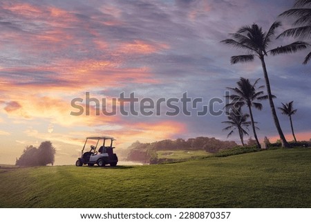 Golf place with gorgeous green and palm tree over blue sky with ocean view.