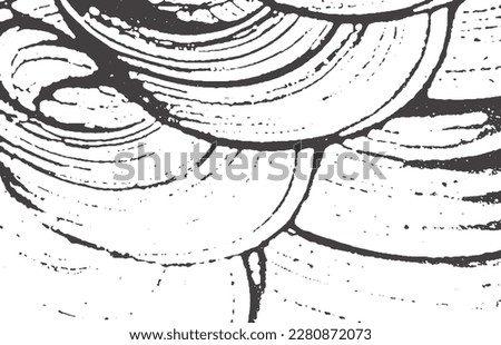 Grunge texture. Distress black grey rough trace. Admirable background. Noise dirty grunge texture. Interesting artistic surface. Vector illustration.
