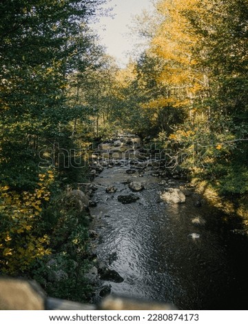 Autumn Symphony: A Rushing River Amidst Vibrant Fall Foliage