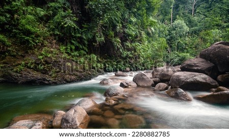 a beautiful view of a river in the interior, this image has a grain and smooth sharpness.