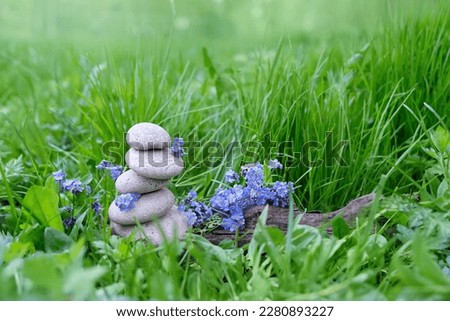 Stack of stones and blue flowers in grass, natural background. zen pebble stones with forget me not flowers outdoor. symbol of spa, soul and body Relax. peaceful, harmony life balance concept