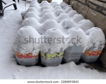Outdoor winter seed sowing in reusable plastic milk jugs, they work as mini greenhouses and withstand the snow and cold to start seeds earlier in the season. Royalty-Free Stock Photo #2280893843