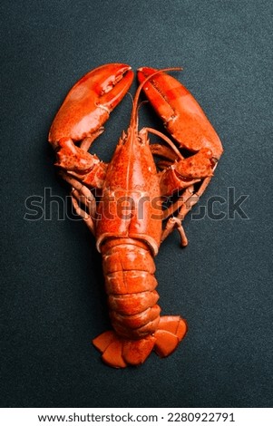 Big red boiled lobster. Close-up on slate surface. Seafood, top view. Royalty-Free Stock Photo #2280922791