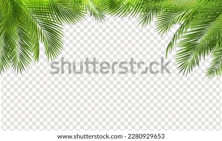 Palm Tree Branch Border And Transparent Background
With Gradient Mesh, Vector Illustration