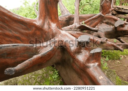 Large wood that is polished and used for decoration in the garden.