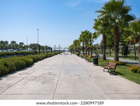 Empty road in city park. Walking area by seaside with wooden bench. Palm trees and blue sky background Royalty-Free Stock Photo #2280997189