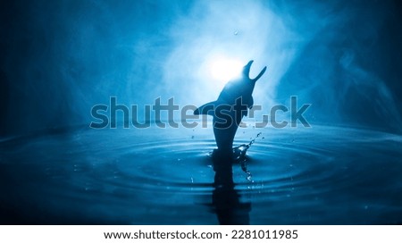 Abstract concept. Fish (shark) silhouette jumping on water at night. Water splash on dark foggy background. Selective focus.