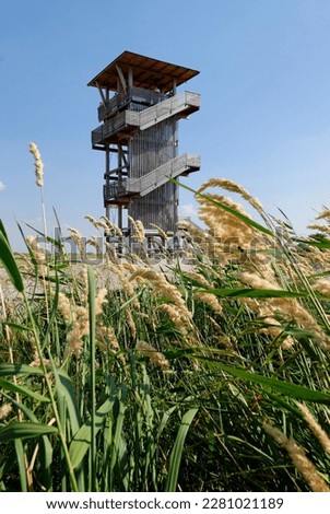 Lookout tower at the eastern shore of the Neusiedler See Lake Neusiedl between Podersdorf and Illmitz Burgenland Austria Royalty-Free Stock Photo #2281021189
