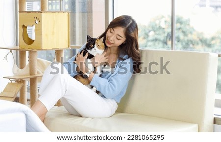Millennial Asian young kindly cheerful female owner sitting on cozy sofa couch holding hugging cuddling showing love with short hair cute little domestic tricolor kitten furry pussycat pet friend. Royalty-Free Stock Photo #2281065295