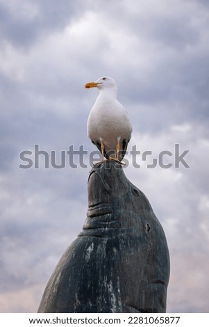 A seagull standing in the nose of a metal seal statue.