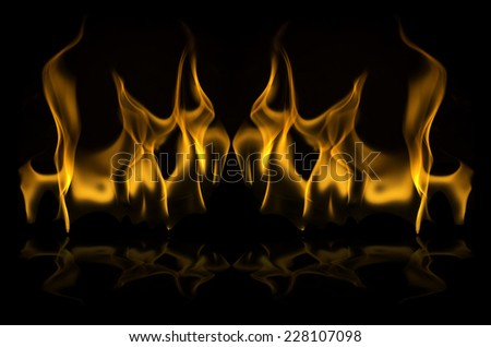 Fire flame on a black background