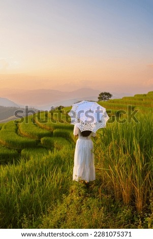 Woman is standing in the rice field under white umbrella