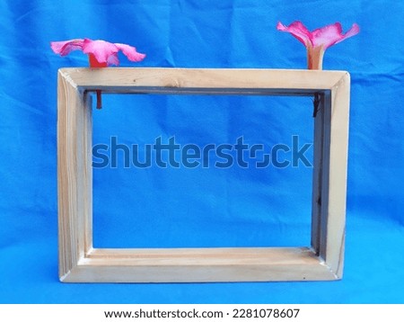 Empty wooden picture frame square box isolated in colorful gradient blue background with flower head Adenium obesum beautiful red pink tropical flower called desert rose. Selective focus