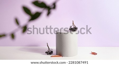 Podiums or pedestals for products display on purple background. Scene with a podium for product presentation, 3d rendering. Panorama, banner.