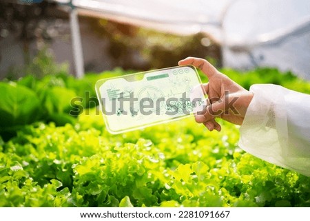 Farmers use tablets to monitor the growth of vegetables in a smart farm.Organic agriculture concept