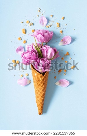 Wafer (waffle) cone with tulips on blue background. Flower ice cream, spring concept with first flowers, mother's day, top view. Royalty-Free Stock Photo #2281139365
