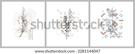 Foliage line art drawing with geometric shape. Hand drawn flowers and geometric art. Set of vector illustration. 